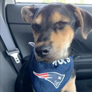 Meet your Posher, David